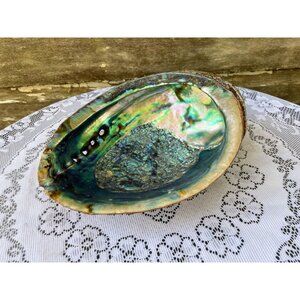 Iridescent Abalone Shell Decorative Beach Decor 8x6